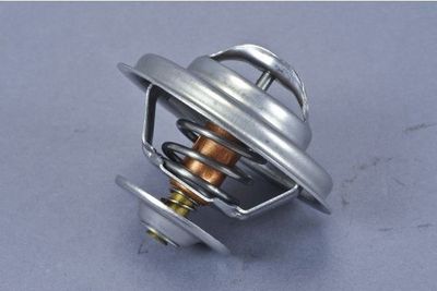 Thermostat, coolant AUTOMEGA 160032710