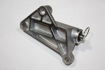 Vibration Damper, timing belt AUTOMEGA 160037310