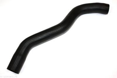 Radiator Hose AUTOMEGA 160040810