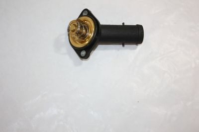 Thermostat, coolant AUTOMEGA 160047910