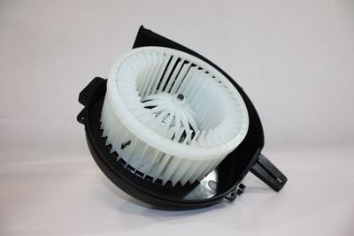 Interior Blower AUTOMEGA 160063110