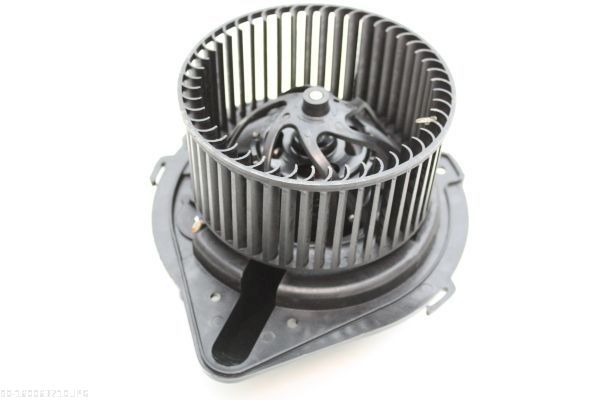AUTOMEGA 160063710 Interior Blower