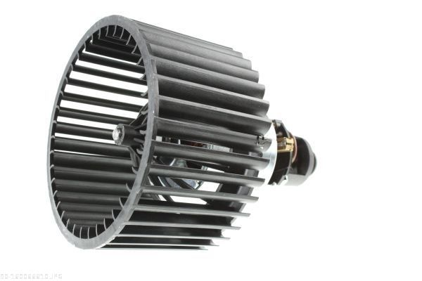AUTOMEGA 160066610 Interior Blower