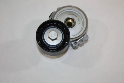 Tensioner Lever, V-ribbed belt AUTOMEGA 160081310
