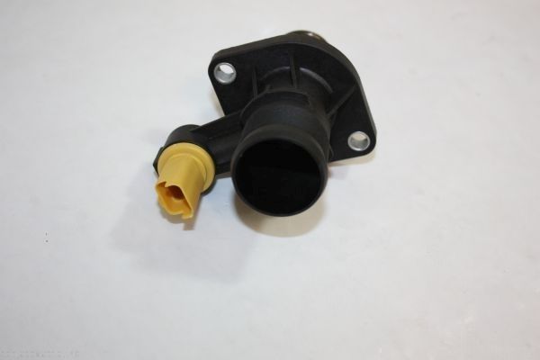 AUTOMEGA 160086910 Thermostat, coolant
