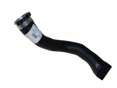 Charge Air Hose AUTOMEGA 160094610