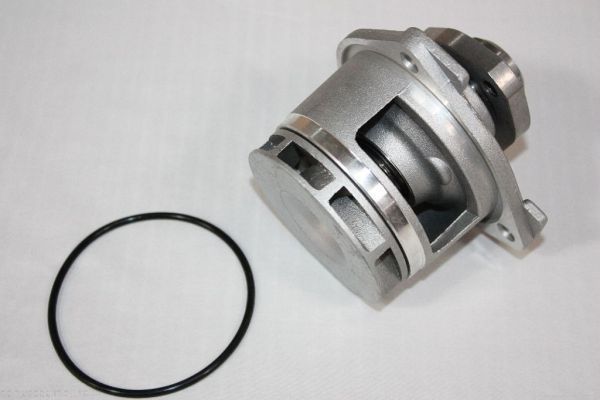 AUTOMEGA 160096310 Water Pump, engine cooling