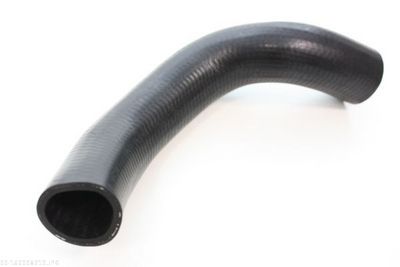 Radiator Hose AUTOMEGA 160098210