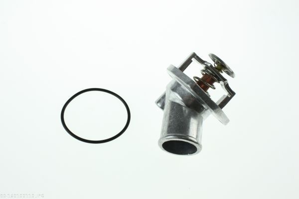 AUTOMEGA 160100110 Thermostat, coolant