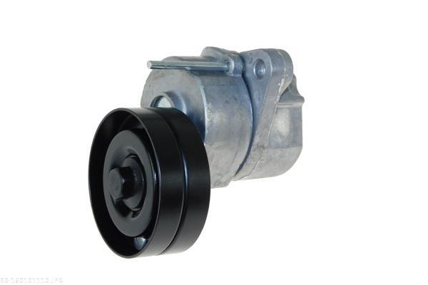 AUTOMEGA 160101110 Tensioner Lever, V-ribbed belt