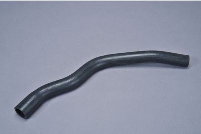 Radiator Hose AUTOMEGA 160106510