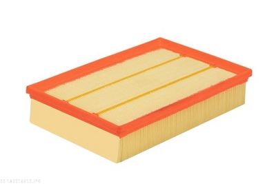 Air Filter AUTOMEGA 180016610