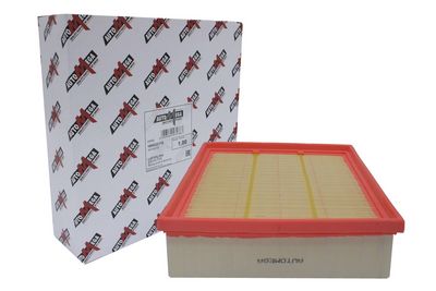 Air Filter AUTOMEGA 180022110