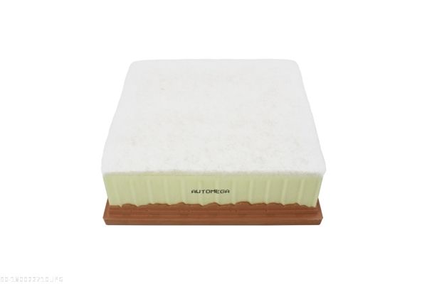 AUTOMEGA 180022710 Air Filter