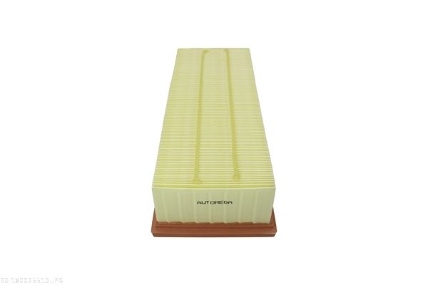 AUTOMEGA 180025510 Air Filter