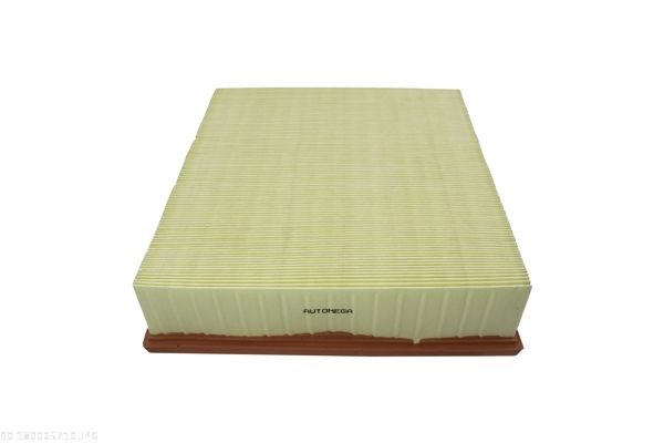 AUTOMEGA 180025710 Air Filter