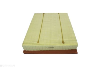 Air Filter AUTOMEGA 180025810
