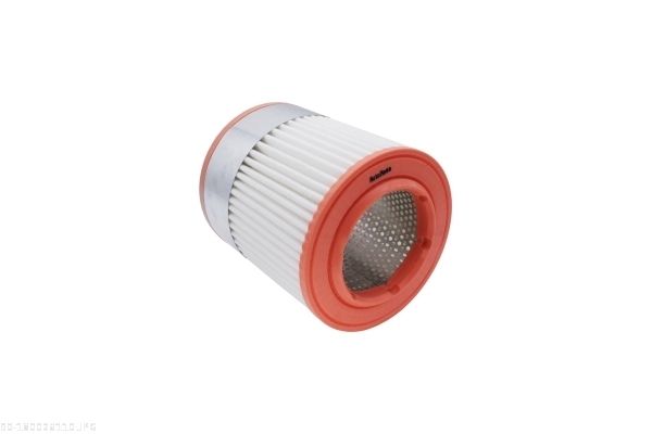 AUTOMEGA 180026110 Air Filter
