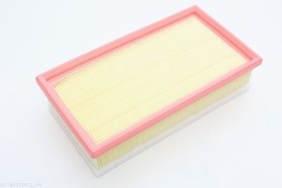 Air Filter AUTOMEGA 180029410