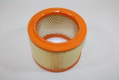 Air Filter AUTOMEGA 180029810