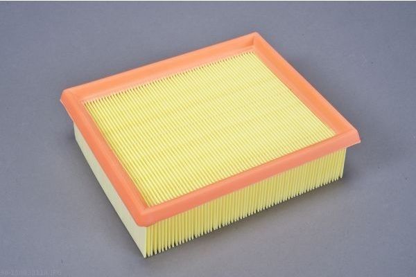 AUTOMEGA 180030110 Air Filter