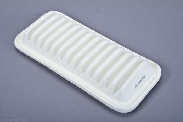 AUTOMEGA 180030910 Air Filter
