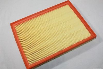 Air Filter AUTOMEGA 180031310