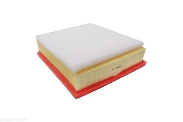 AUTOMEGA 180031710 Air Filter