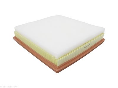 Air Filter AUTOMEGA 180031810