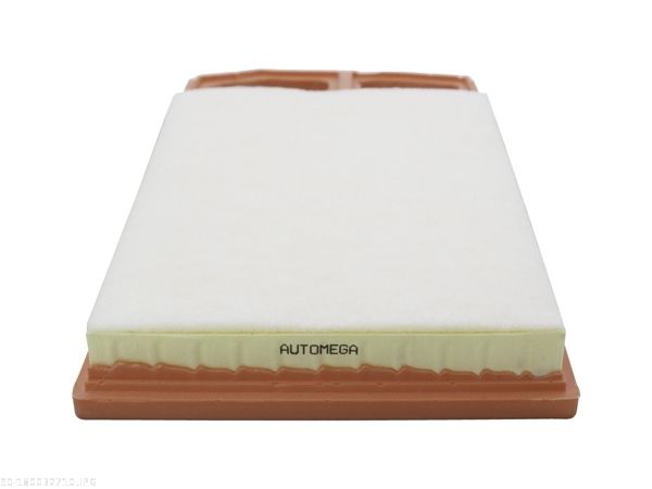 AUTOMEGA 180032710 Air Filter