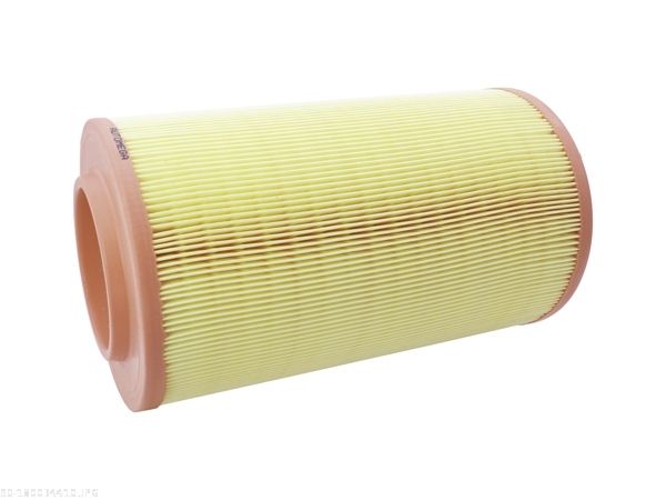 AUTOMEGA 180034410 Air Filter