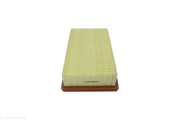 AUTOMEGA 180034510 Air Filter