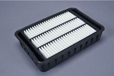 Air Filter AUTOMEGA 180034710