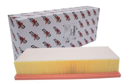 Air Filter AUTOMEGA 180037410