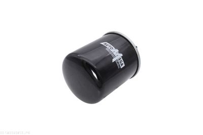 Fuel Filter AUTOMEGA 180060810