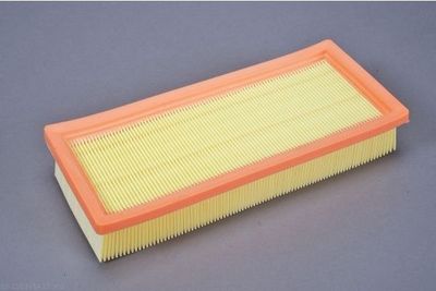 Air Filter AUTOMEGA 180066410