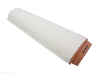 Air Filter AUTOMEGA 180067310