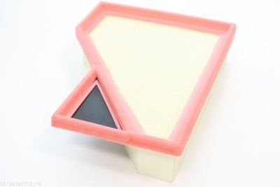 Air Filter AUTOMEGA 180069310