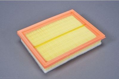 Air Filter AUTOMEGA 180074010