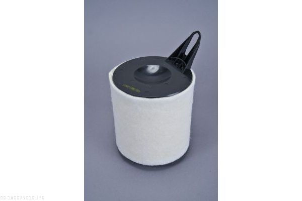 AUTOMEGA 180075010 Air Filter
