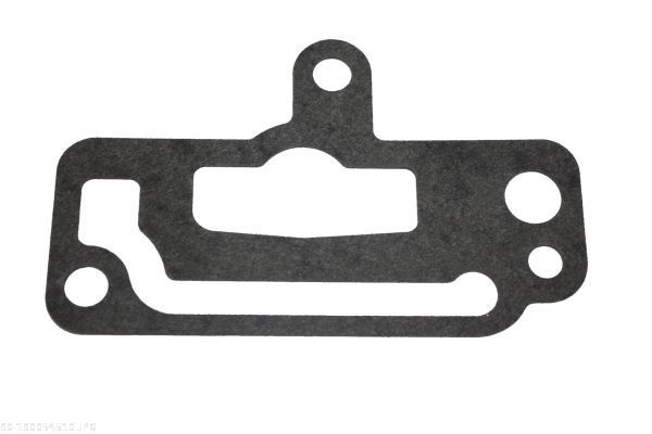 AUTOMEGA 190054510 Gasket, coolant flange
