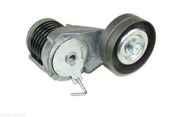 AUTOMEGA 210155810 Tensioner Lever, V-ribbed belt