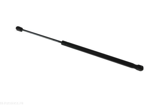 AUTOMEGA 210193310 Gas Spring, boot/cargo area