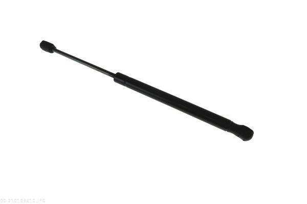 AUTOMEGA 210193610 Gas Spring, boot/cargo area