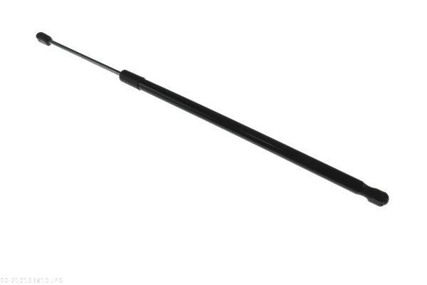 AUTOMEGA 210193810 Gas Spring, boot/cargo area