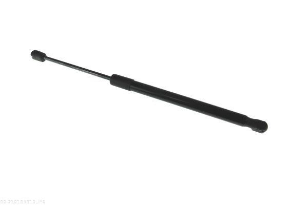 AUTOMEGA 210193910 Gas Spring, boot/cargo area