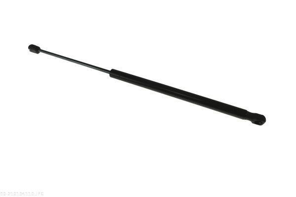 AUTOMEGA 210194110 Gas Spring, boot/cargo area