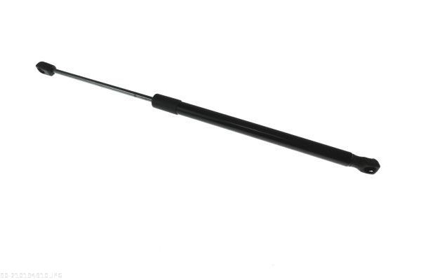 AUTOMEGA 210194910 Gas Spring, boot/cargo area