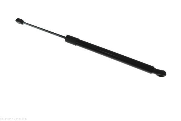 AUTOMEGA 210195210 Gas Spring, boot/cargo area