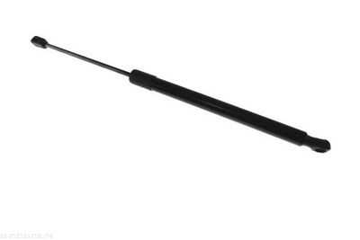 Gas Spring, boot/cargo area AUTOMEGA 210195210